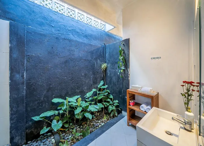 فيلة Ascot